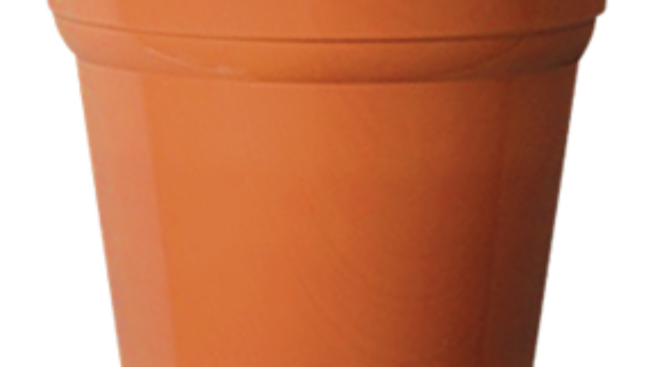 165L_NocciolaBianco_052052