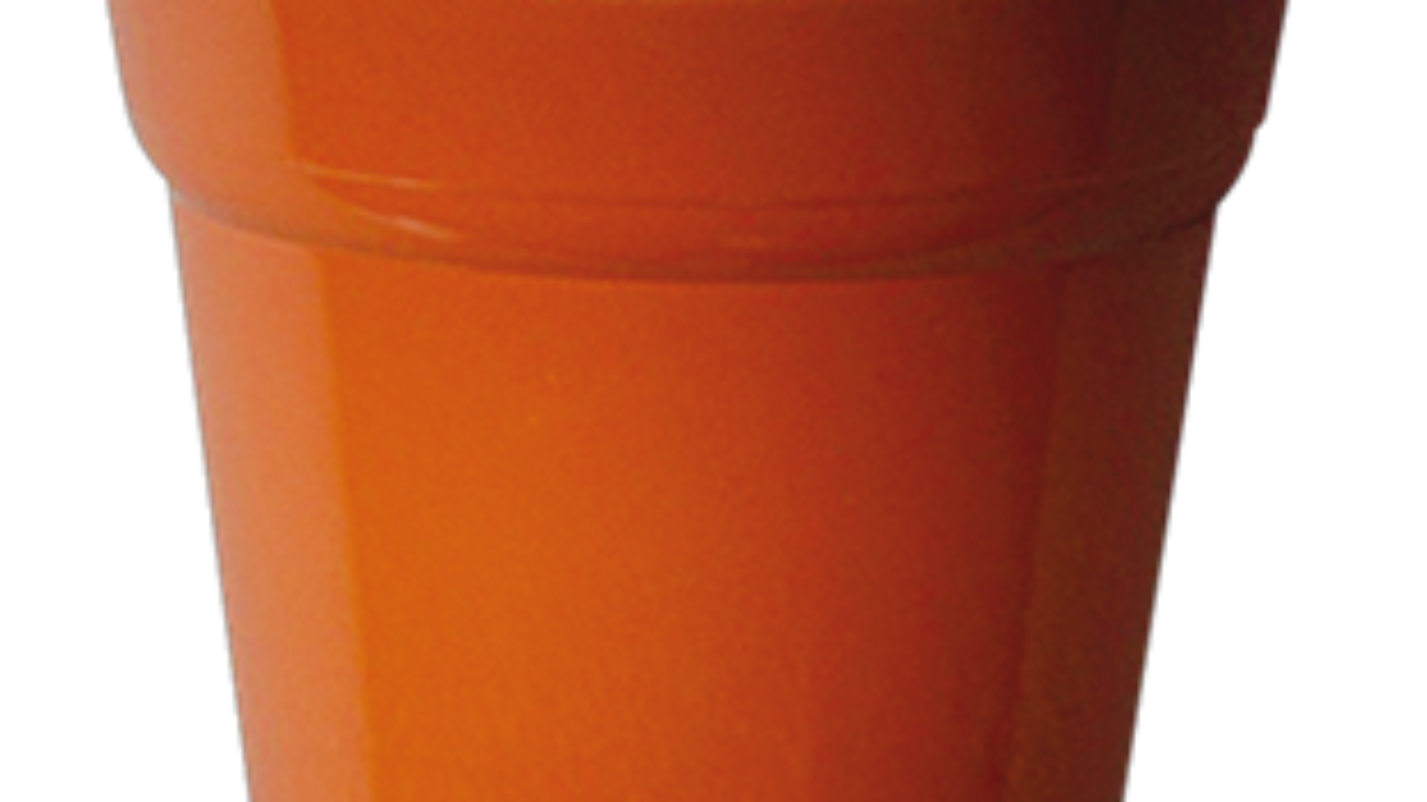 88L_NocciolaBianco