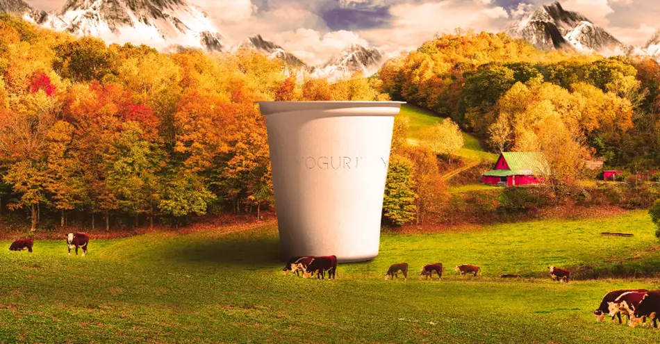 Hybrid-Yogurt