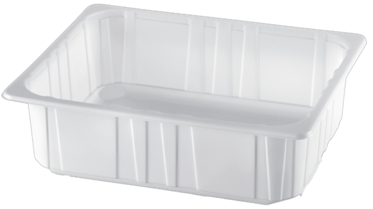 Vasch.12GN-H100_PP_B.ca-ISAP-_259053